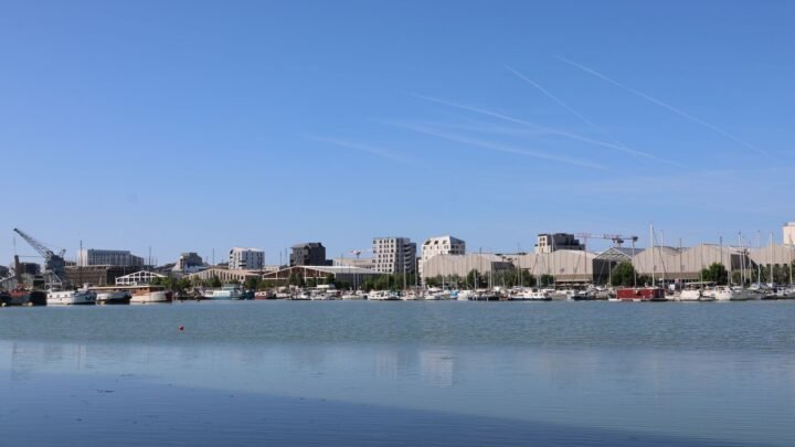 Compagnonnage adulte à Boulogne-sur-Mer : préparer une rencontre respectueuse et sereine